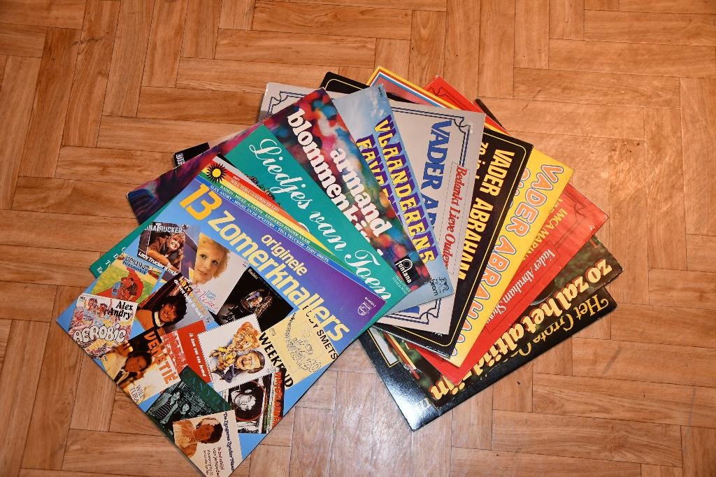 10 VINTAGE LANGSPEELPLATEN, Cd's en Dvd's, Beschermende buitenhoes, Ophalen, Gebruikt