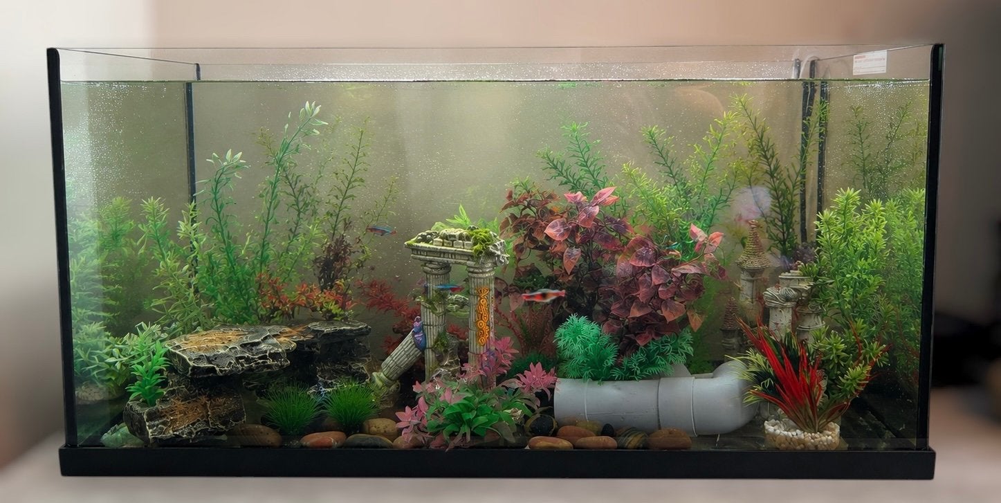 Compleet aquariumpakket - 112L, Ophalen