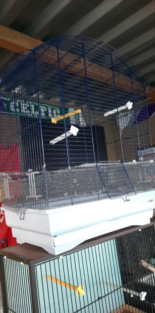 vogels, Dieren en Toebehoren