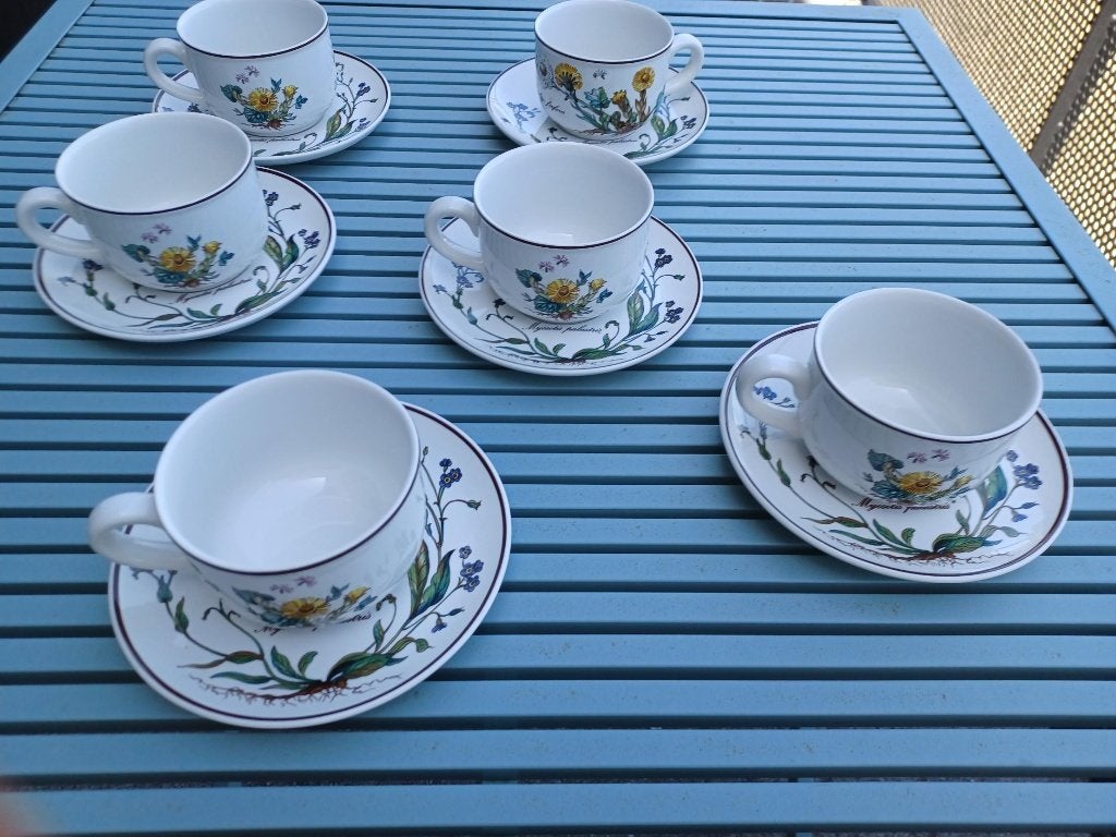 Villeroy et Boch - Botanica 6 tasses et  6 sous-tasses, Antiquités & Art, Antiquités | Services (vaisselle) pièces, Enlèvement ou Envoi