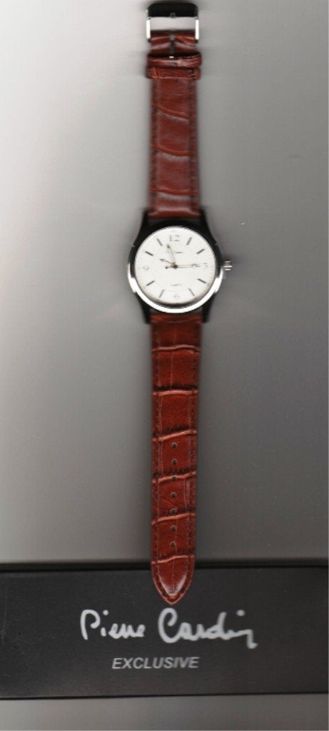 Herenhorloge Pierre Cardin Exclusive, Bijoux, Sacs & Beauté, Montres | Hommes, Autres marques, Enlèvement ou Envoi, Acier, Acier