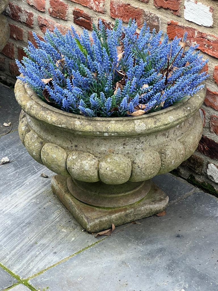 Bloempot antiek, Enlèvement, Utilisé, Jardin