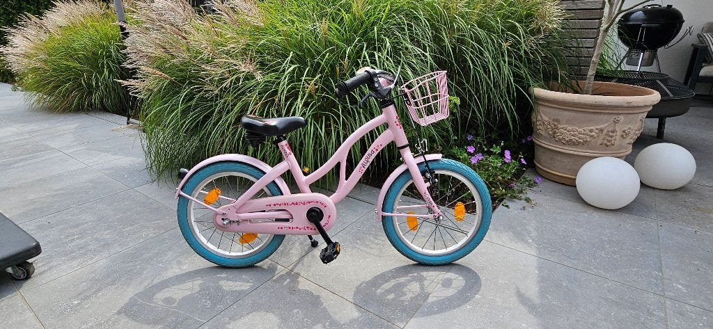 Alpina Ocean 16 inch   Pink, Vélos & Vélomoteurs, Enlèvement, Utilisé, 16 pouces