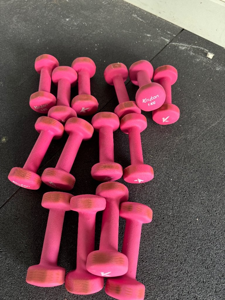 Halters 1 kg roze, Ophalen, Gebruikt, Halterset