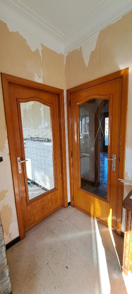 Deuren uit te breken wegens afbraak woning, Doe-het-zelf en Bouw, Deuren en Vliegenramen, Zo goed als nieuw, Garagedeur, 200 tot 215 cm
