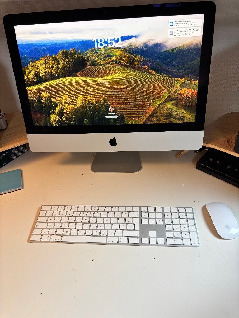 iMac 21,5" Retina 4K 2019, IMac, Ophalen of Verzenden, Zo goed als nieuw, 1 TB