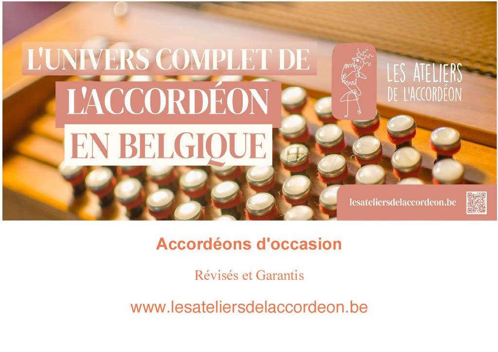 Gebruikte accordeon, Muziek en Instrumenten, Ophalen, Gebruikt, Knopaccordeon, Met koffer