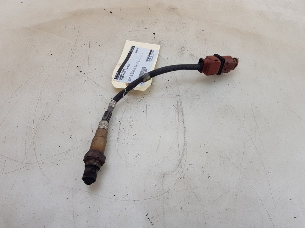 LAMBDASONDE Ford Focus 4 Wagon (01-2018/12-2025), Gebruikt, Ford