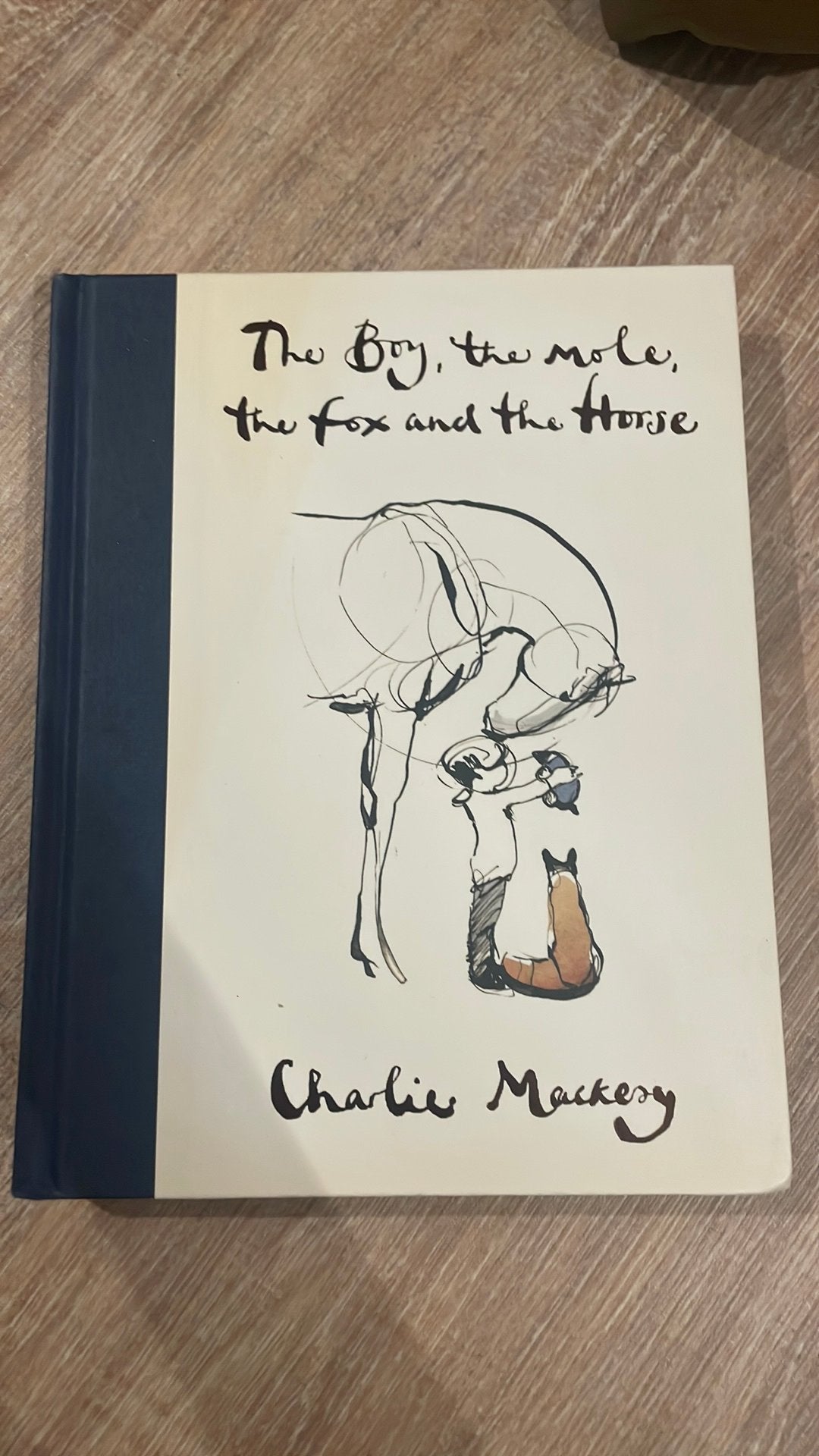 The boy, the mole,the fox and the horse, Boeken, Humor, Ophalen, Zo goed als nieuw