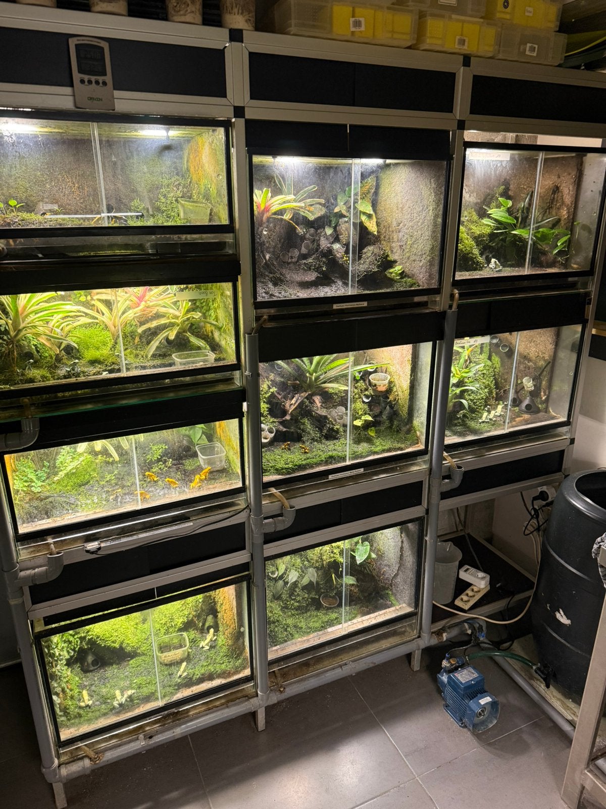 Diverse terraria en stellingen te koop., Dieren en Toebehoren, Ophalen, Gebruikt, Terrarium of Paludarium