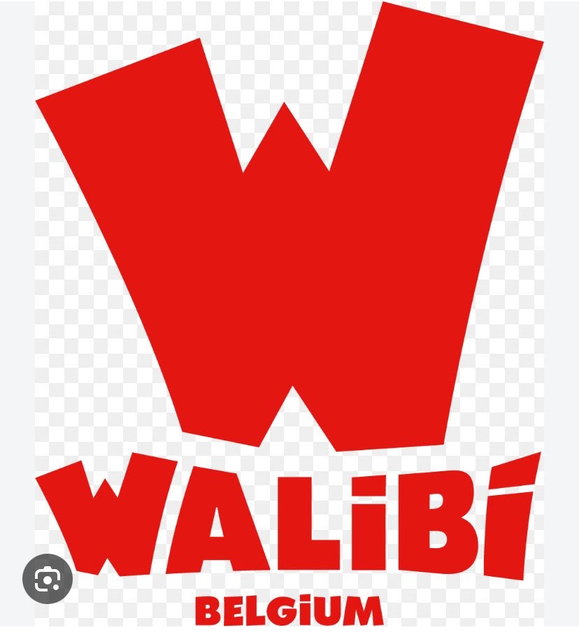2 entrées walibi, Tickets & Billets