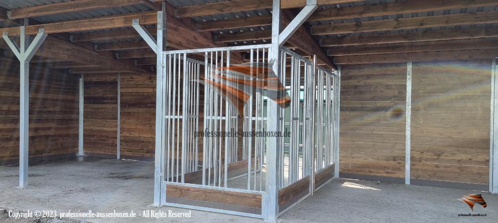 Hooiruiven voor paarden & Paardenhooiruif ACTIVE, Weidegang