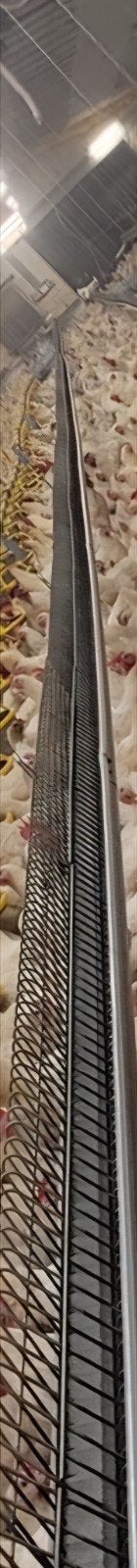 Bridomat moederdieren met grill, Doe-het-zelf en Bouw, Ophalen