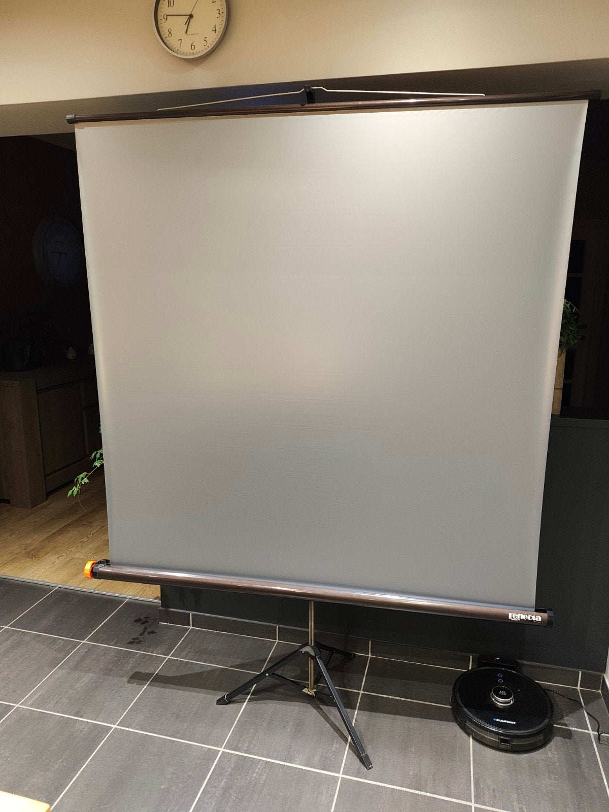 projectiescherm Reflecta voor dia's en beamer, Ophalen, Gebruikt