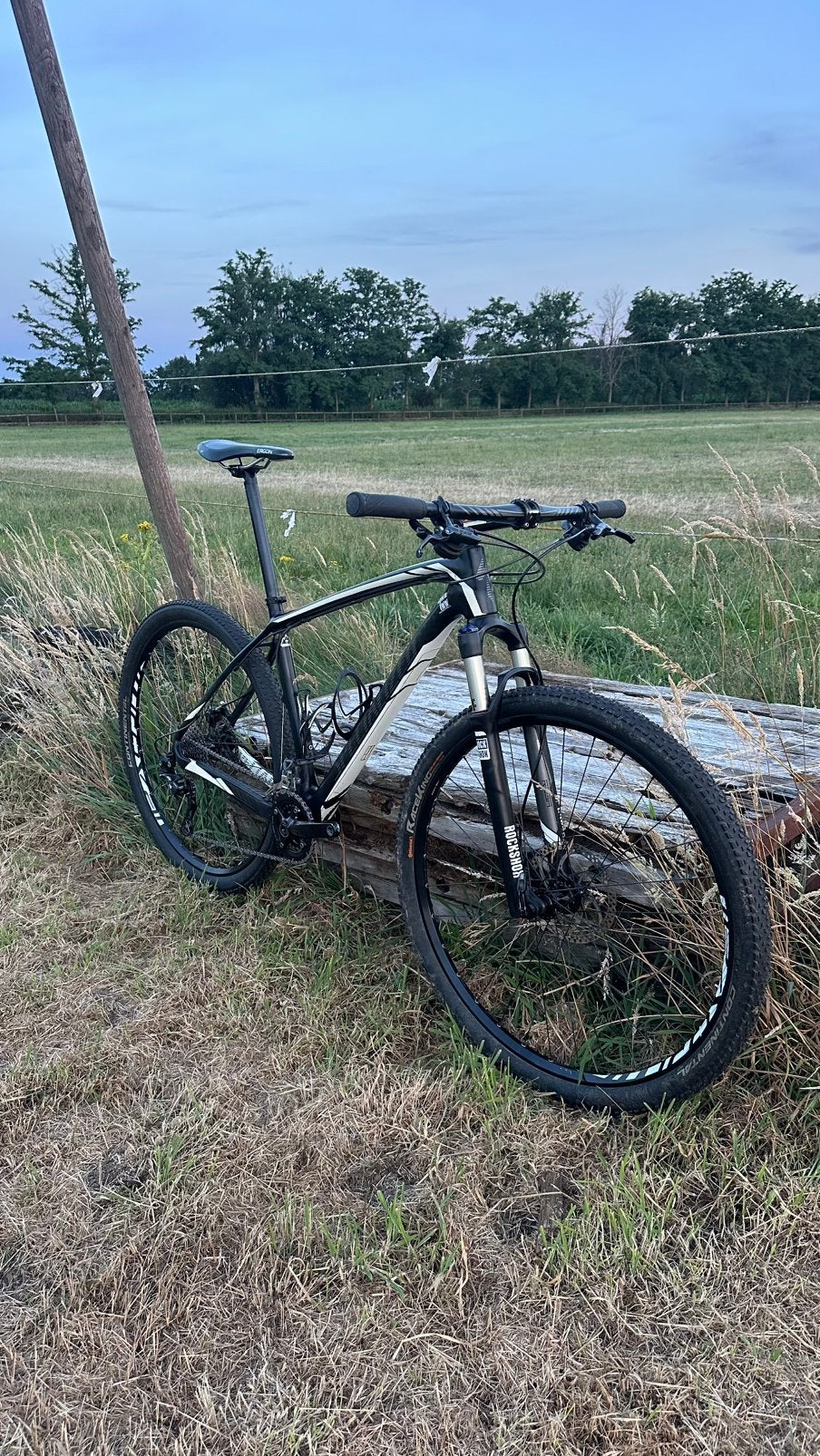 Specialized Stumpjumper MTB carbon 29", Fietsen en Brommers, Hardtail, Ophalen, Gebruikt, Schijfrem