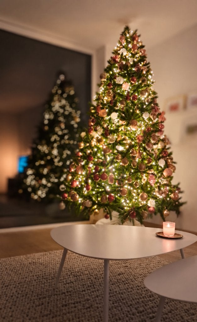Kerstboom Triumph Tree Bristlecone H260 x 163 cm, Diversen, Ophalen, Zo goed als nieuw