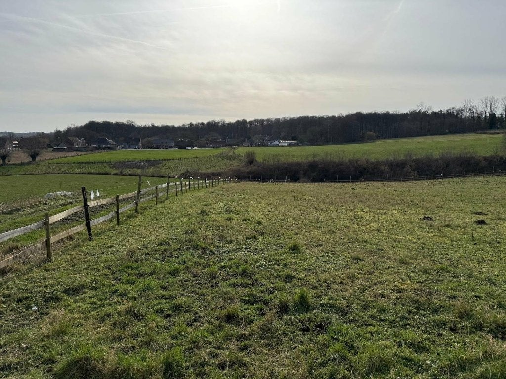 Weide te koop 1,12ha, Immo, Geraardsbergen, 1500 m² ou plus