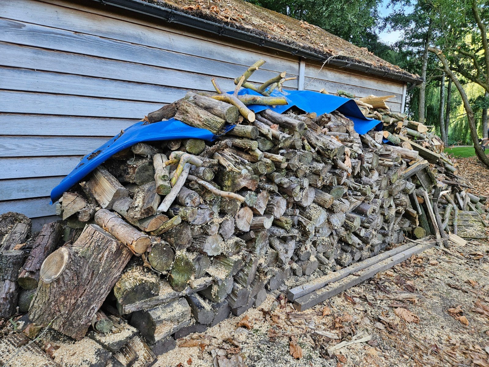 Droog brandhout, klaar voor de haard, 6 m³ of meer, Ophalen, Overige houtsoorten, Blokken