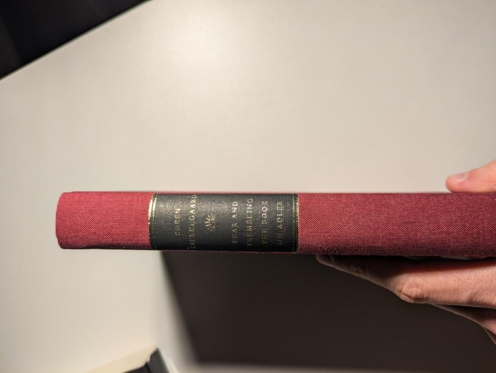 Fear and Trembling - Kierkegaard, Ophalen of Verzenden