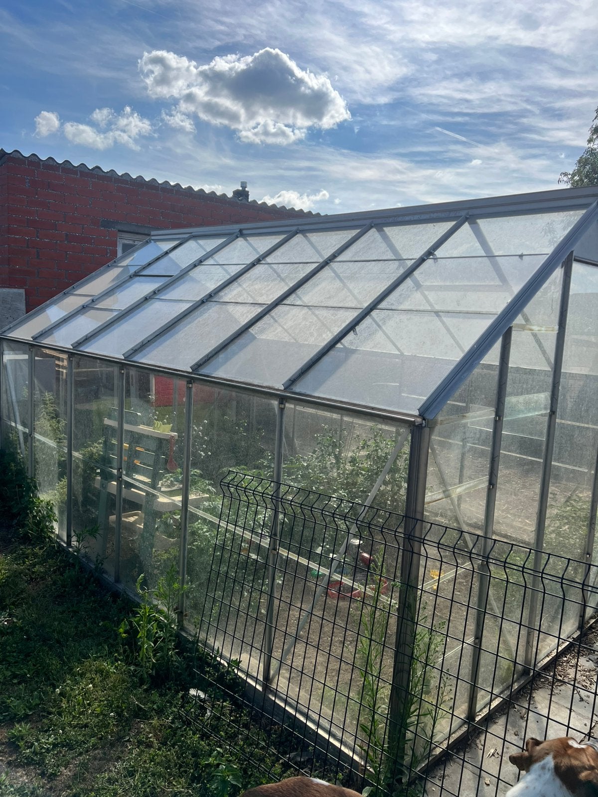Serre, Tuin en Terras, Kassen, Ophalen, Zo goed als nieuw