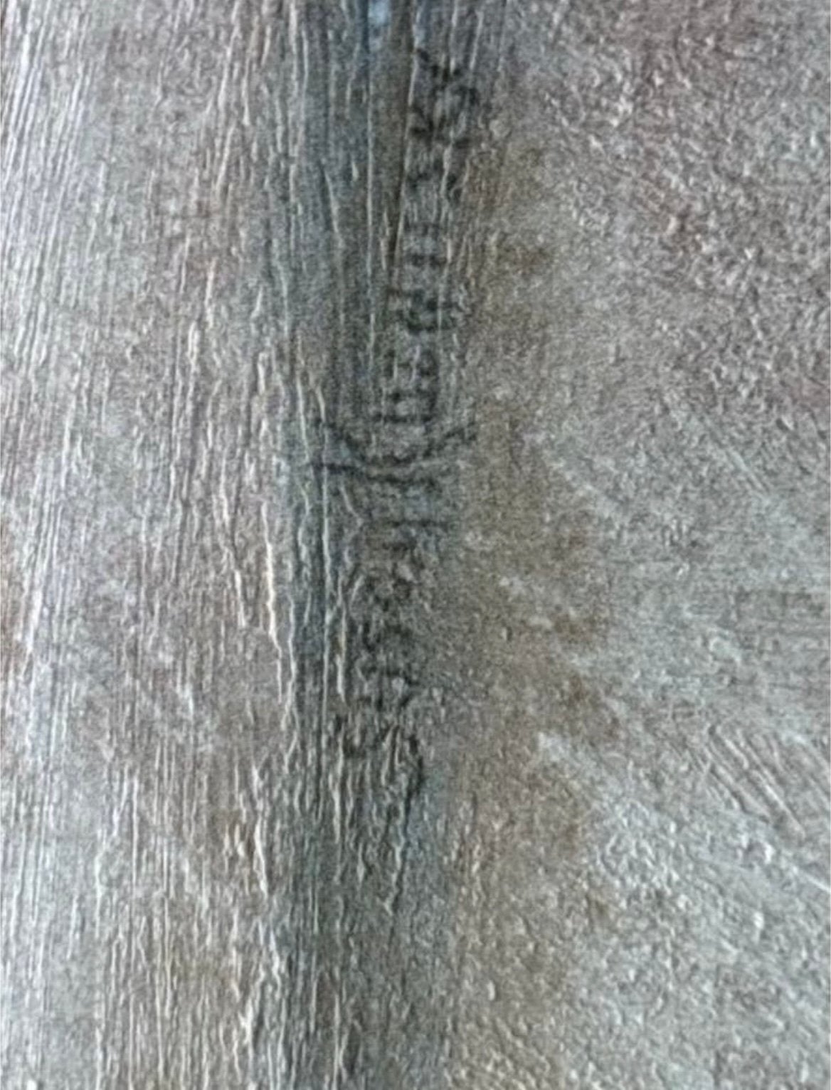 Schilderij SUSAN KUZNITSKY, Antiek en Kunst, Ophalen