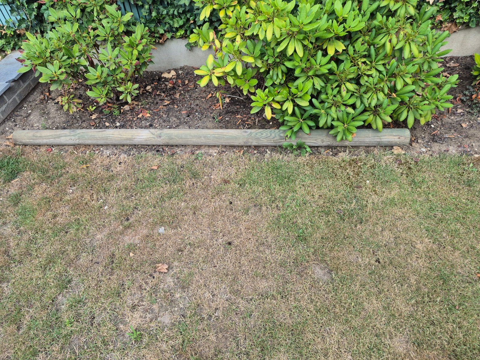 Gratis hout ( vuurkorf), Tuin en Terras, Ophalen