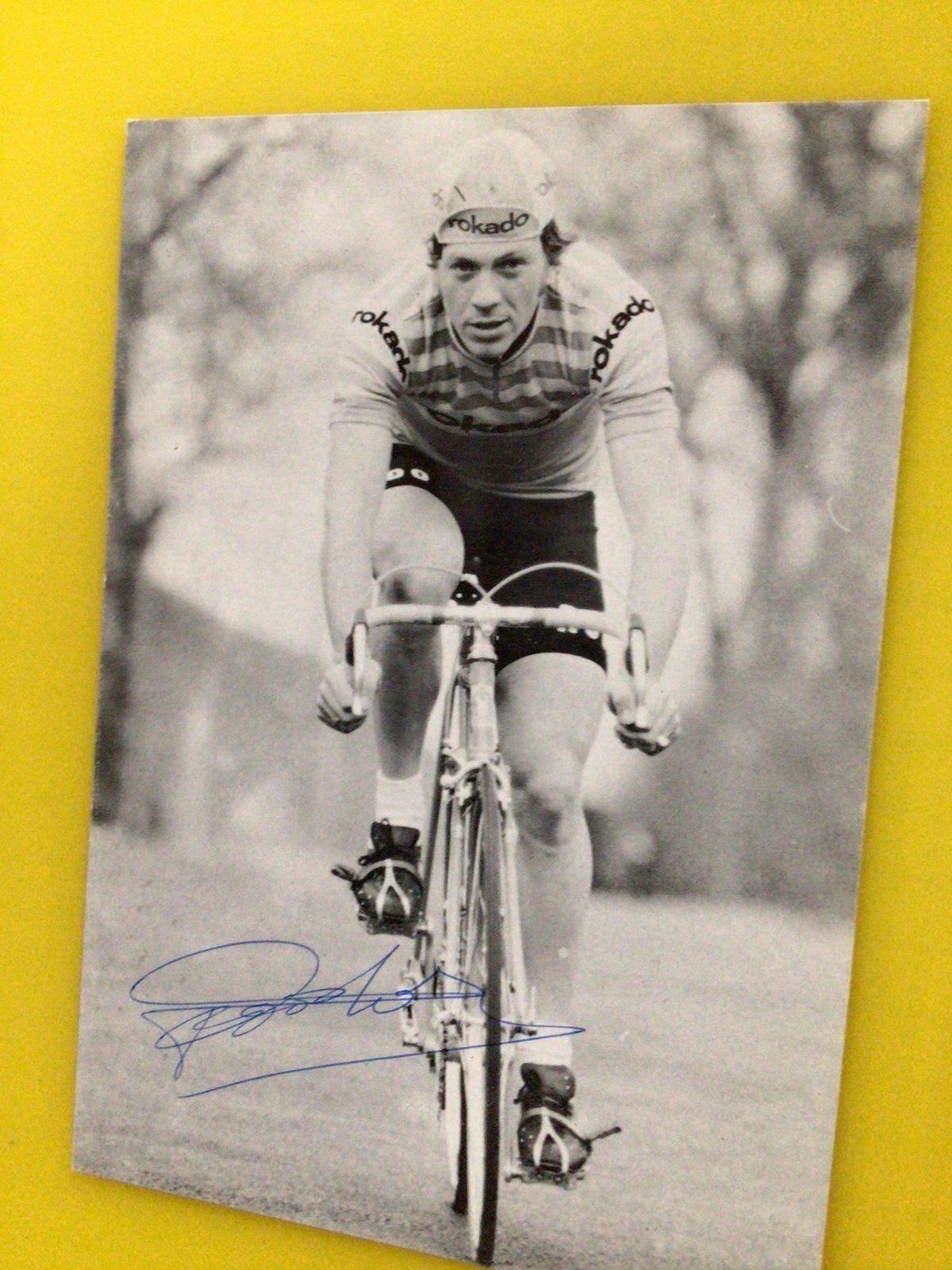 wielerkaart 1973 team rokado gustaaf van roosbroeck  signe, Verzenden, Zo goed als nieuw