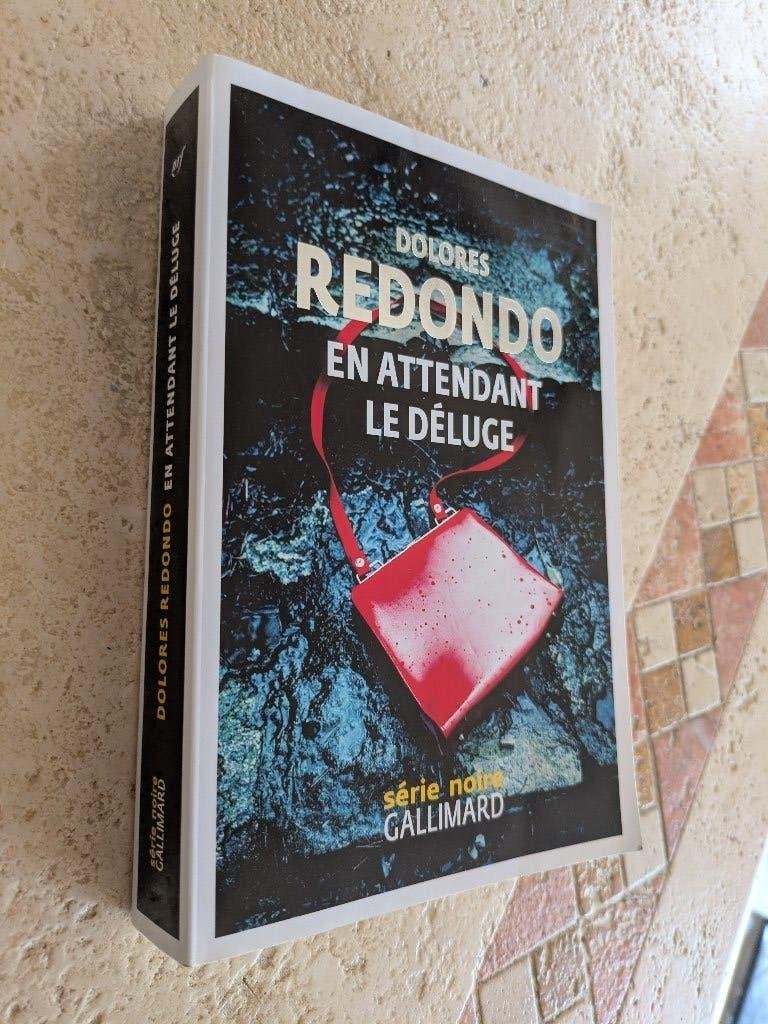 En attendant le déluge (Dolores Redondo)., Verzenden, Zo goed als nieuw, Dolores Redondo.