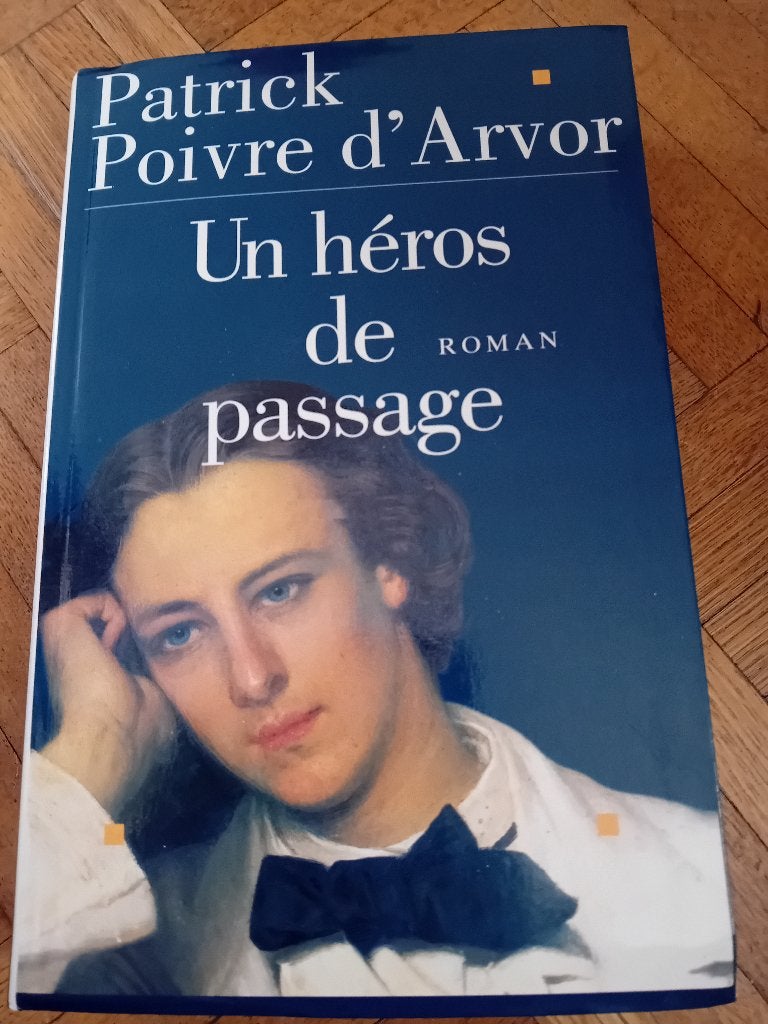 Livre un héros de passage Patrick poivre d arvor, Ophalen