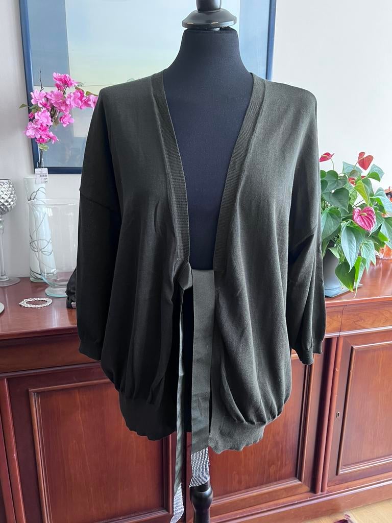 Gilet, Vêtements | Femmes, Pulls & Gilets, Enlèvement ou Envoi, Neuf