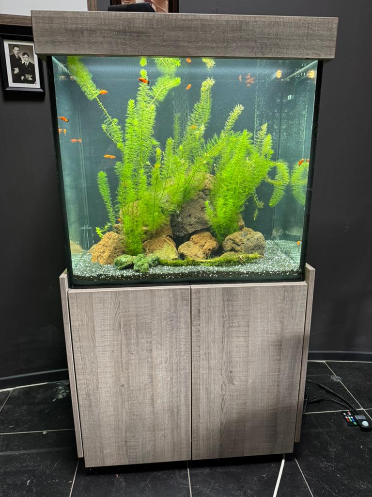 Aquarium 75x55x70 met meubel, Dieren en Toebehoren, Ophalen, Zo goed als nieuw