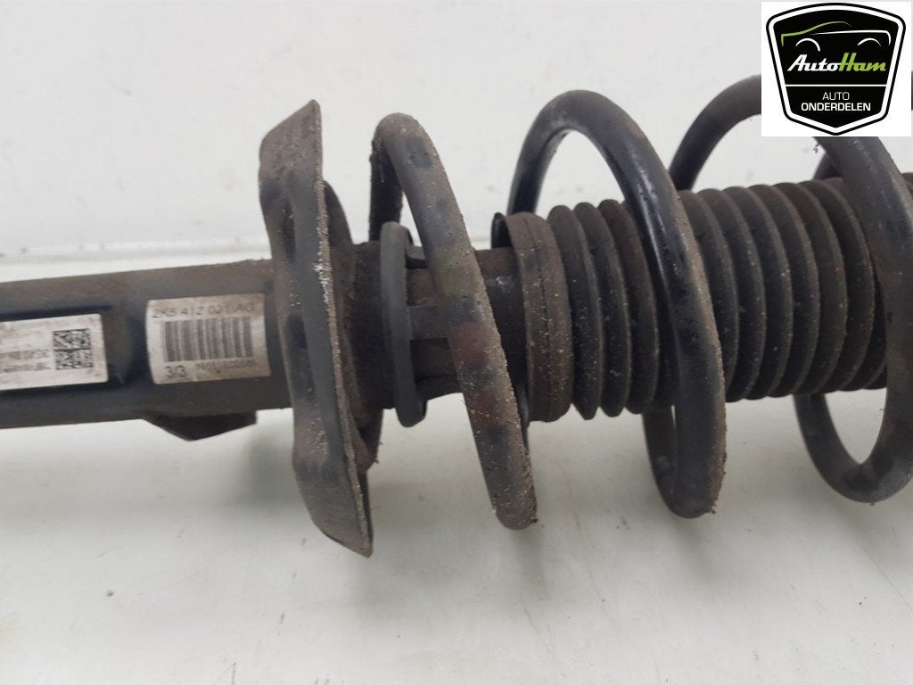 AMORTISSEUR OU ABSORBEUR DE CHOC AVANT GAUCHE Caddy IV, Utilisé, Volkswagen