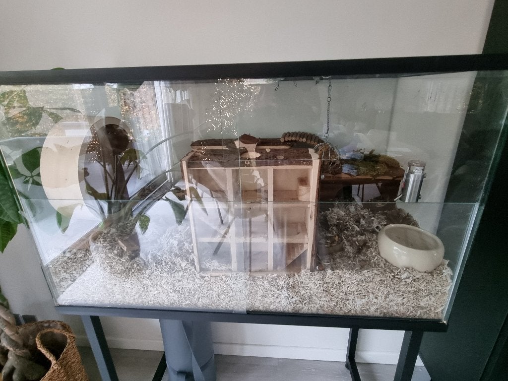 Terrarium 100x50x60cm avec dépôt fixe et fenêtre coulissante, Animaux & Accessoires