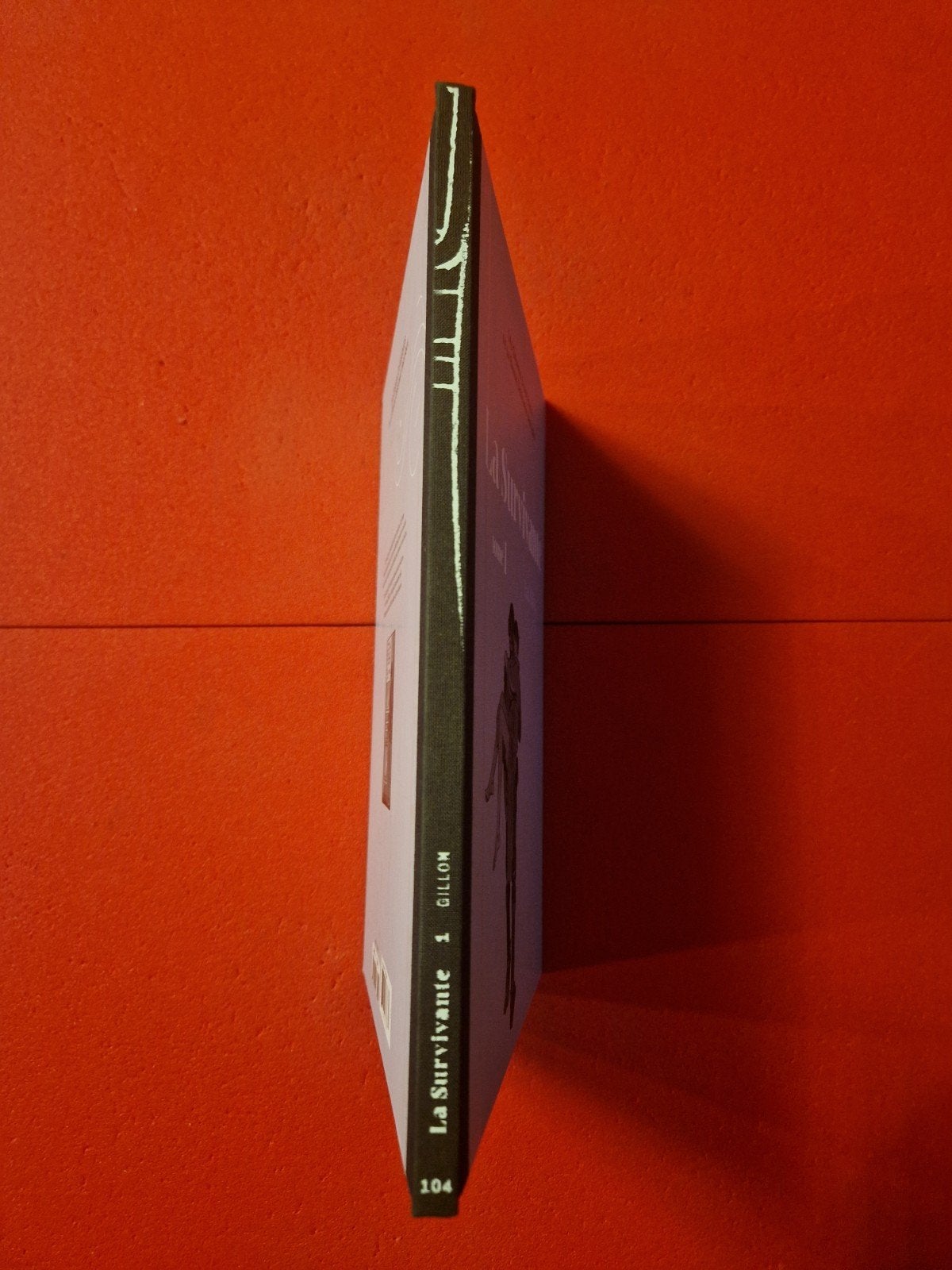 bd la survivante tome 1, Enlèvement ou Envoi