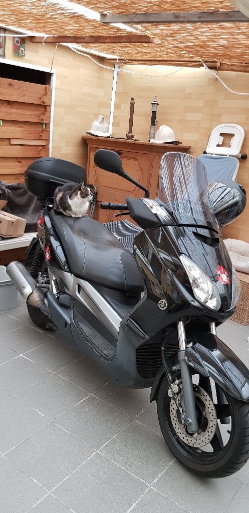 Yamaha x max 250 i, 250 cc, Scooter, Occasion, Particulier