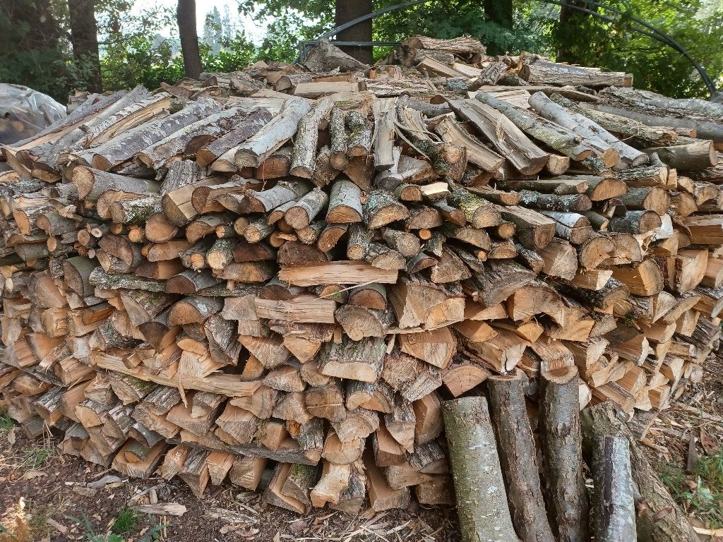Brandhout Zwarte els, Envoi, Autres essences de bois, Bûches