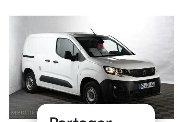 Camionnette, Autos, Camionnettes & Utilitaires, Entreprise, Caméra 360°, ABS, Caméra de recul, Régulateur de distance, Airbags