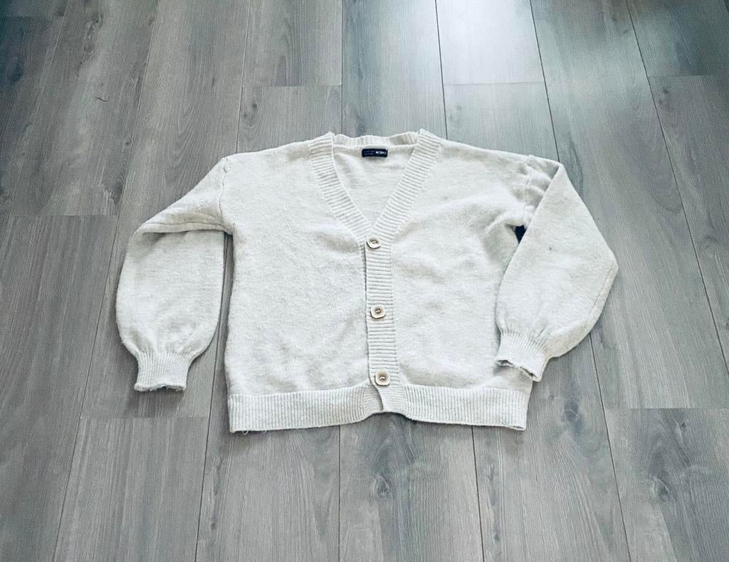 Cardigan de couleur beige de Shein 36/S, Vêtements | Femmes, Pulls & Gilets, Enlèvement ou Envoi, Comme neuf, Shein, Taille 36 (S)
