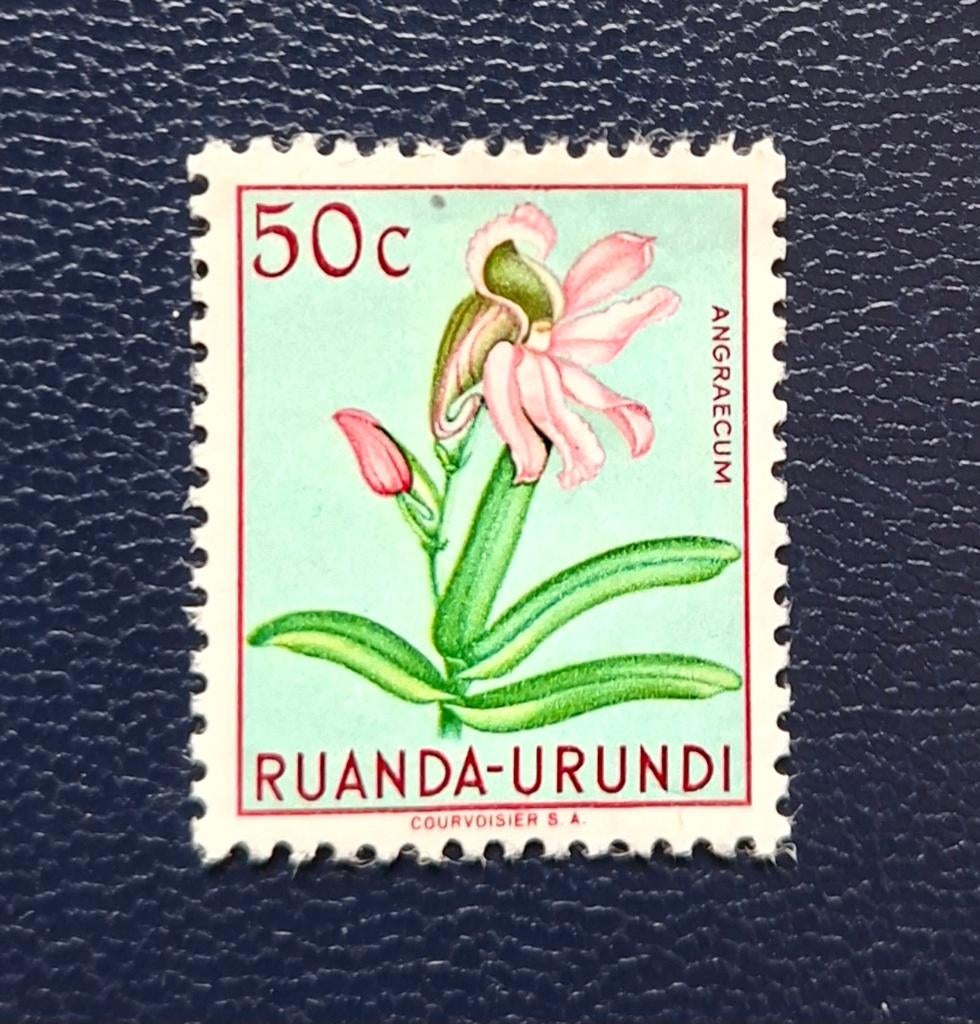 Postzegel Ruanda-Urundi OBP 182*, Ophalen of Verzenden, Overige landen