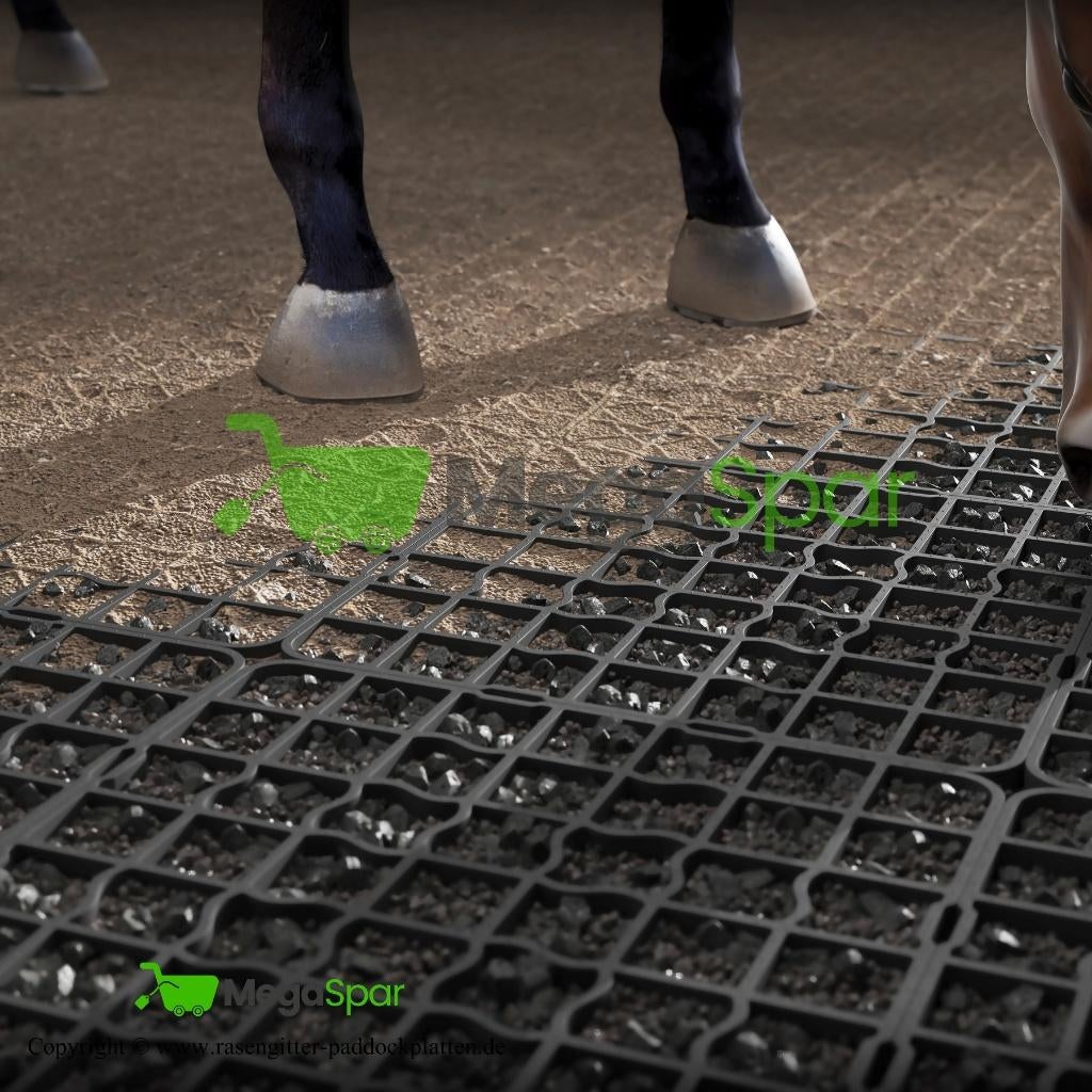 ReitPRO Paddockplaten & Grastegels - Duurzame Paardenmatten, Dieren en Toebehoren, Weidegang
