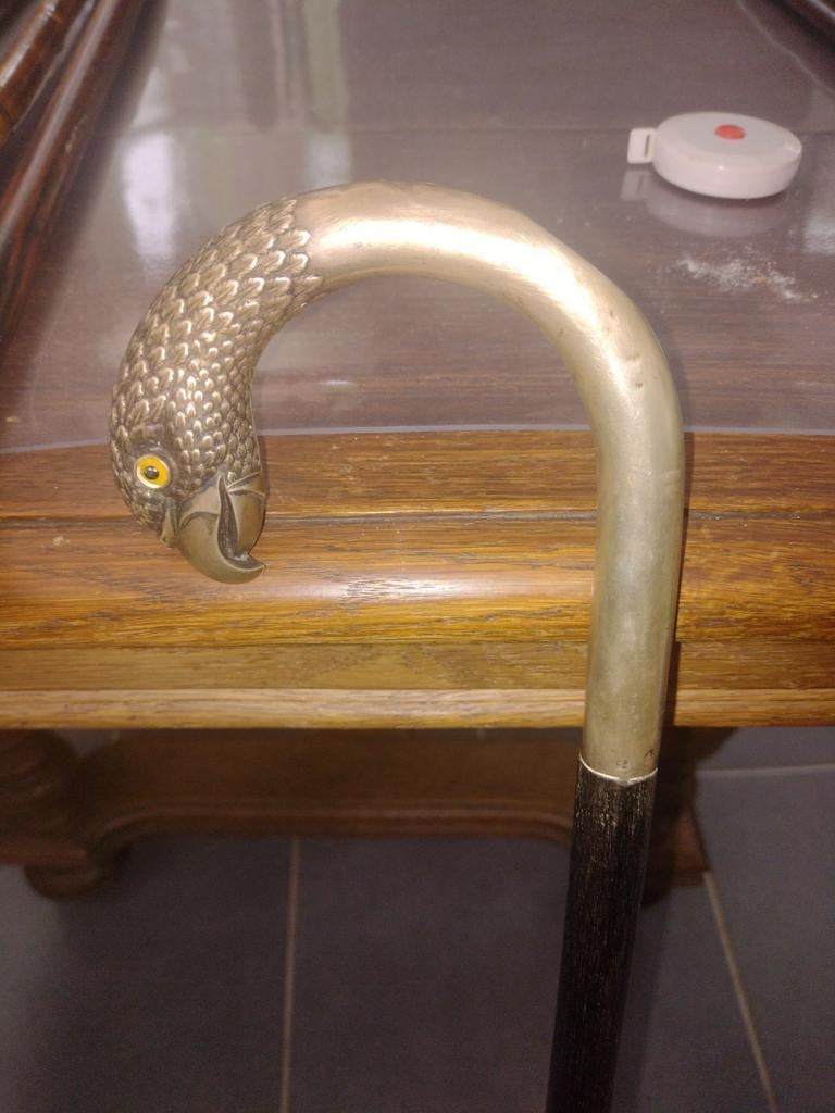 Oude wandelstok met zilveren pommel (adelaar), Ophalen of Verzenden, Gebruikt