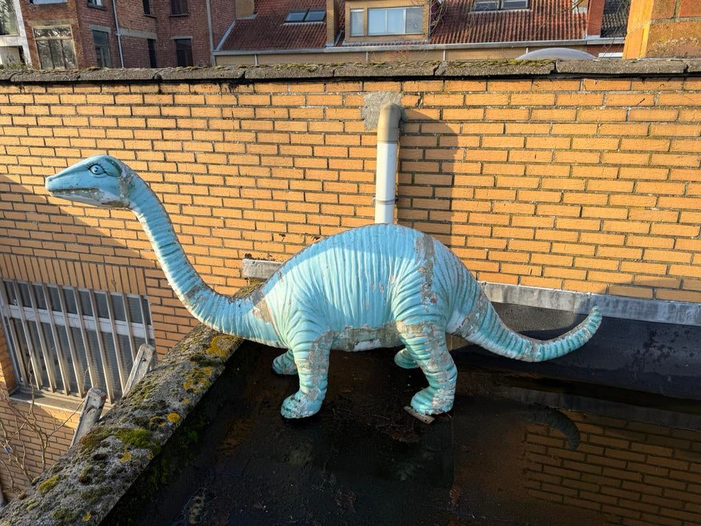 Gigantische dinosaurus!, Collections, Collections Animaux, Enlèvement ou Envoi, Utilisé, Reptile ou Amphibien, Animal empaillé