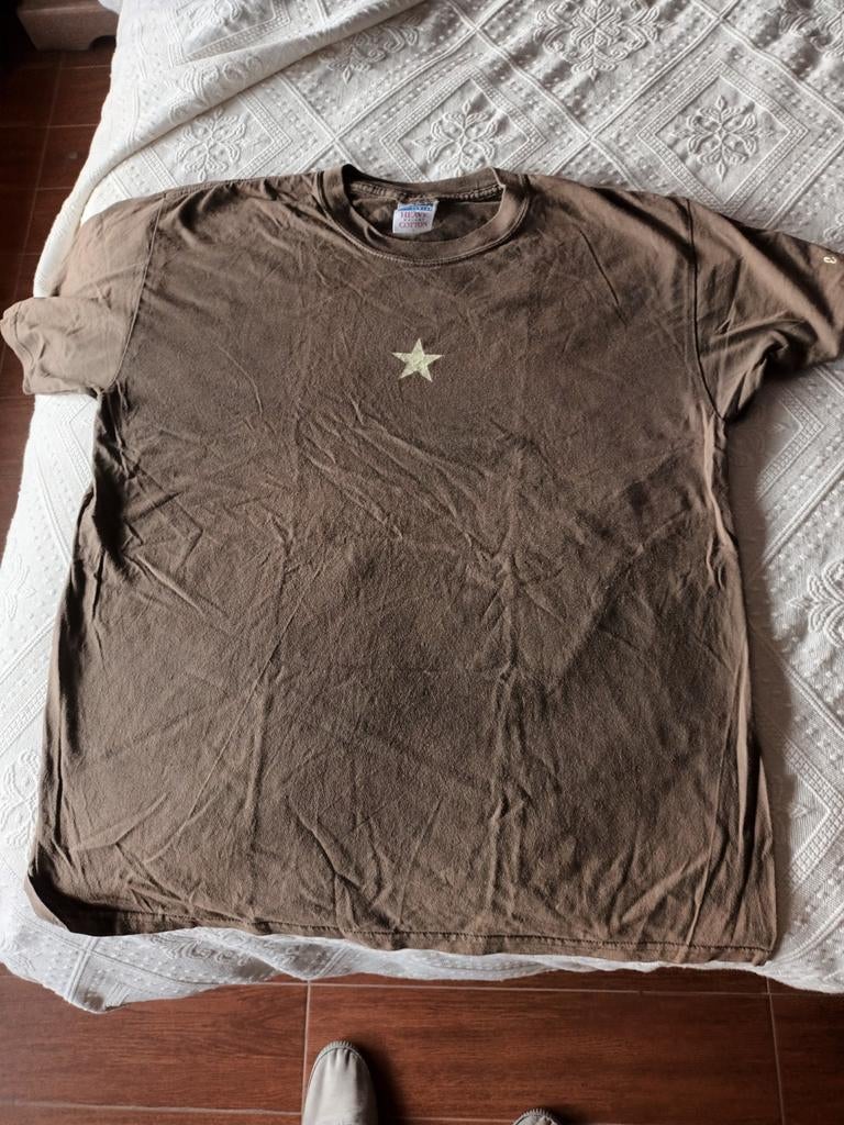 Everlast T-shirt, Ophalen, Gedragen, Maat 52/54 (L), Groen