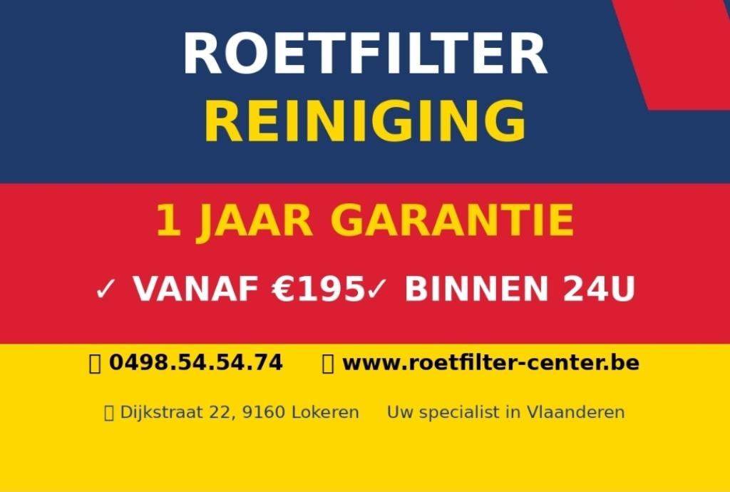 Roetfilter reiniging en Revisie/1 jaar garantie - 24u klaar, Euro 5, 1 Reeks, Bedrijf, Diesel