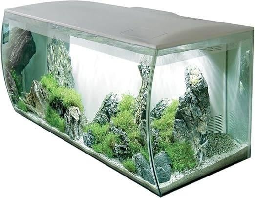 Aquarium 123L | aquarium d'eau douce | LIVRAISON GRATUITE, Animaux & Accessoires, Neuf, -, -, Aquarium vide