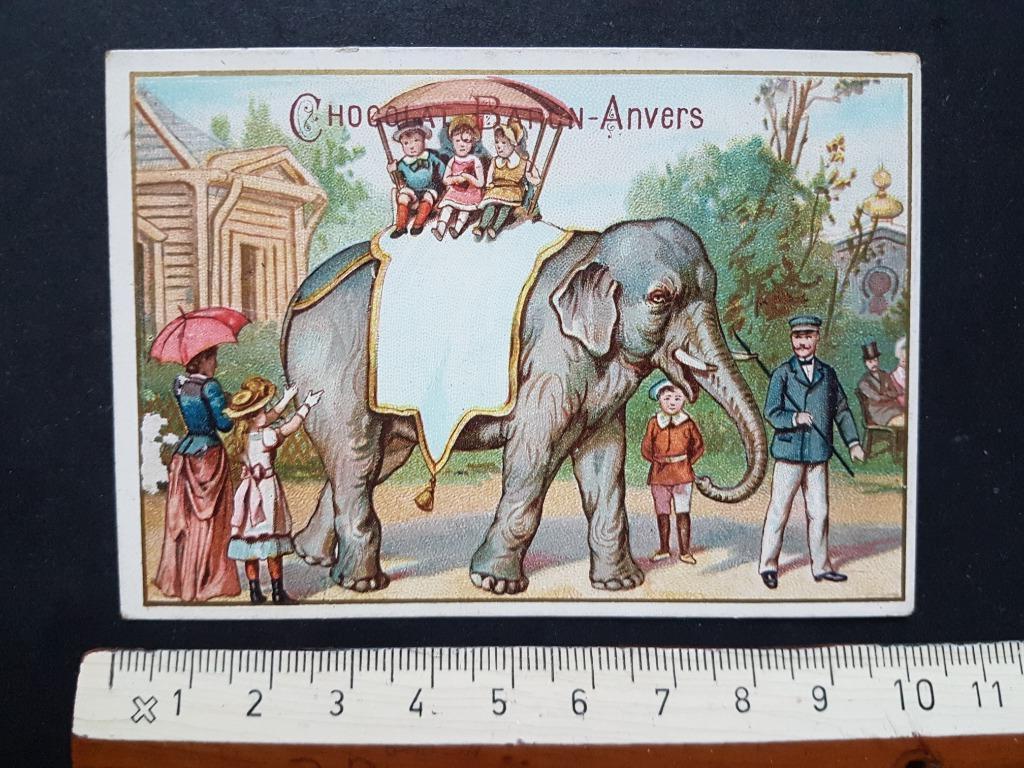 Chromo Chocolat Baron Anvers Antwerpen ZOO Olifant, Verzamelen, Ophalen of Verzenden, Zo goed als nieuw, Voor 1940, Dier