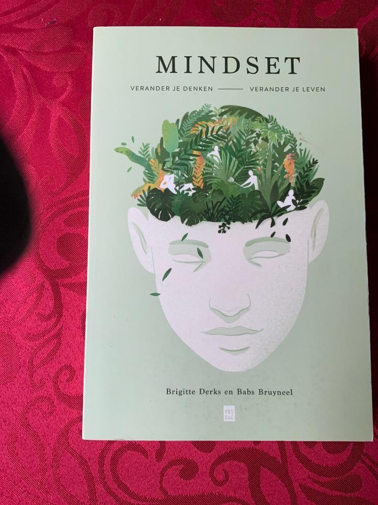 Mindset, Boeken, Psychologie, Derks en Bruyneel, Ophalen of Verzenden, Persoonlijkheidsleer, Nieuw