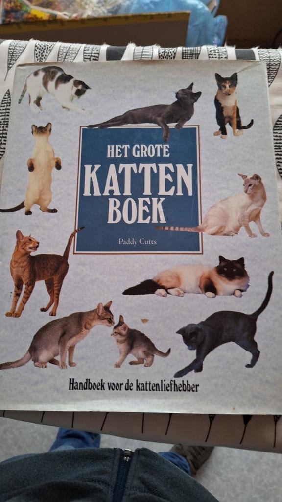 Het grote  katten boek, Livres, Animaux & Animaux domestiques, Enlèvement ou Envoi, Chats