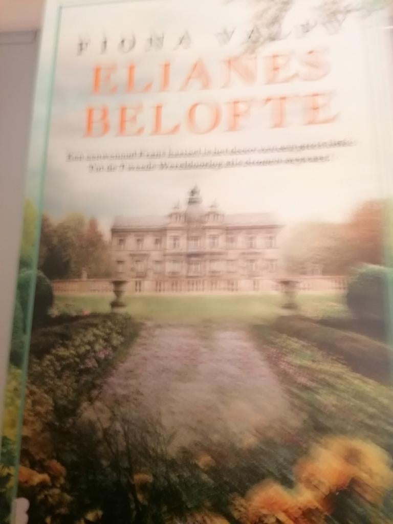 Fiona Valpy - Elianes belofte, Ophalen of Verzenden