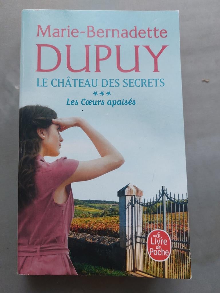 Le château des secrets de Marie-Bernadette Dupuy, Livres, Enlèvement, Utilisé